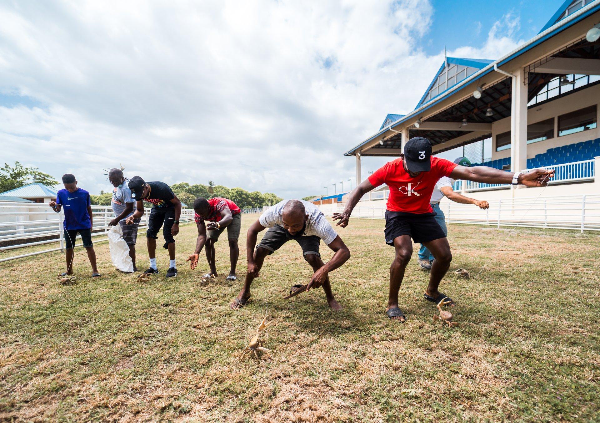 Seven men each attempting to race a crab using a bamboo stick
